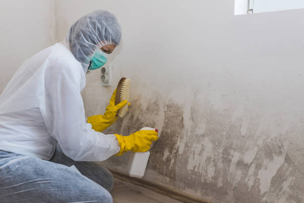 Mold Removal Process in Mcpherson, KS