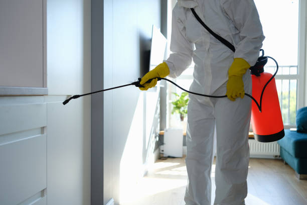 Best Best Mold Removal Companies  in Mcpherson, KS