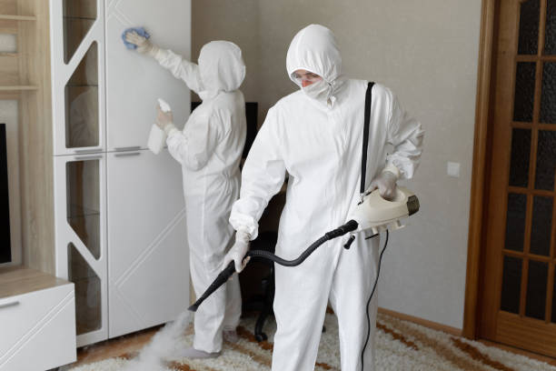 Best Certified Mold Removal  in Mcpherson, KS