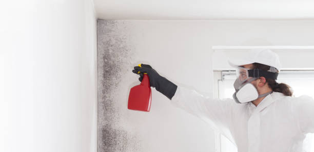 Professional Mold Removal in Mcpherson, KS
