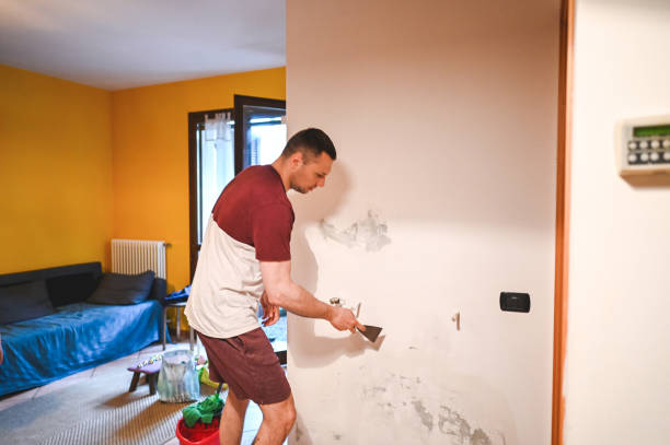 Best Emergency Mold Removal  in Mcpherson, KS