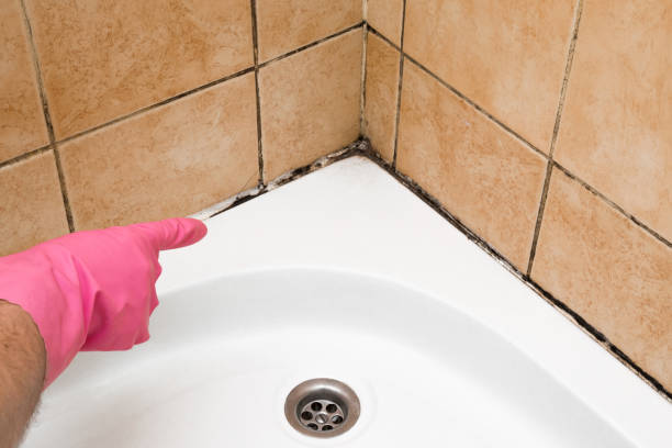 Best Office Mold Removal Services  in Mcpherson, KS